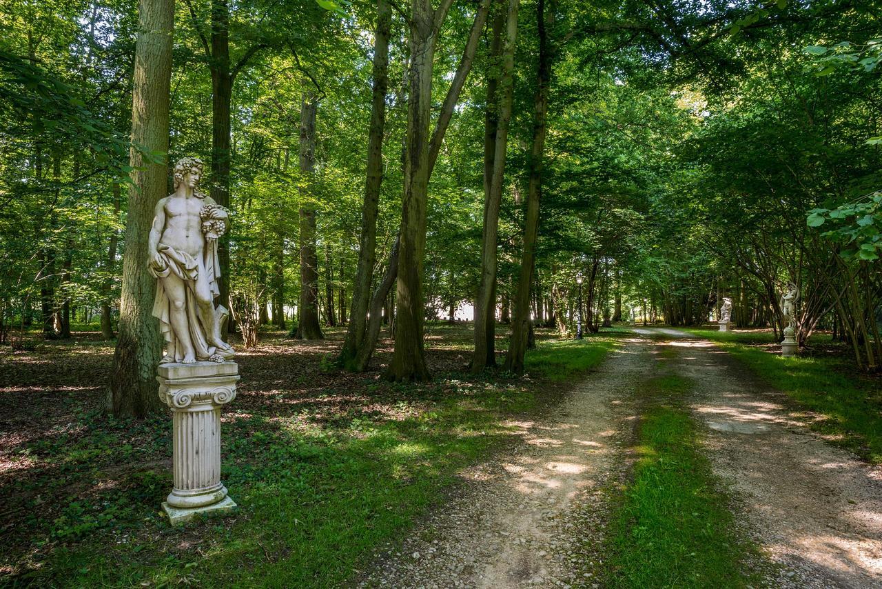Domaine Du Bois Des Anges Germigny-l'Eveque Exterior foto